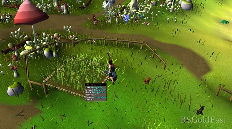 Revitalizing OSRS Tree Patches For Success