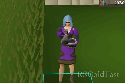 osrs241114002