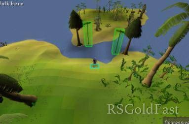 osrs2412030013