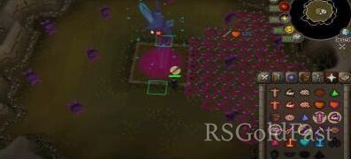 osrs241220004