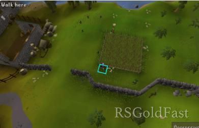 osrs241203009