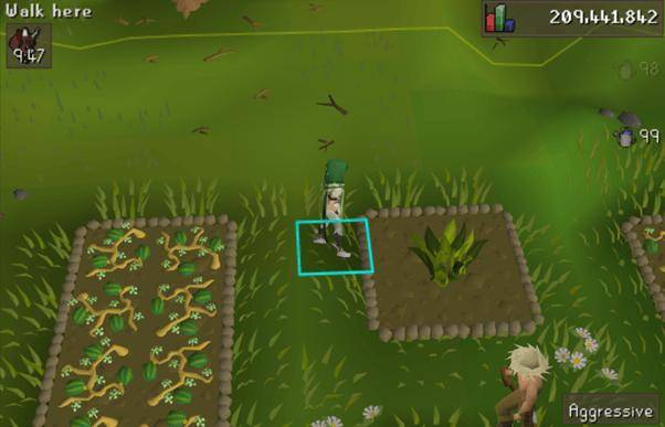 OSRS herb runs, OSRS gold farming, Money making guide, Easy OSRS GP methods, Ironman farming guide