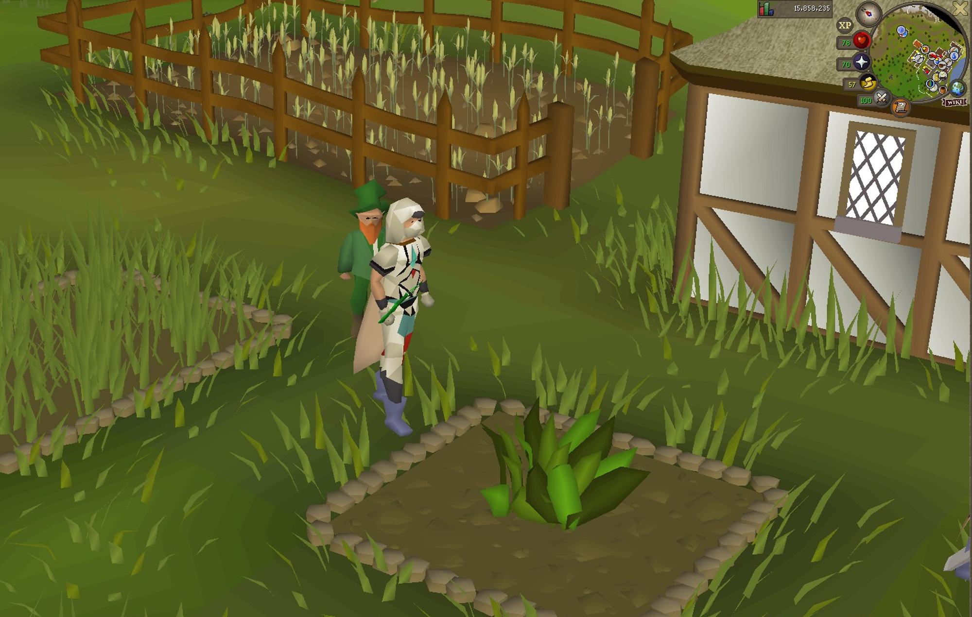 How 10 Minutes of Herb Runs Can Beat Hours of Grinding in OSRS Gold Farming